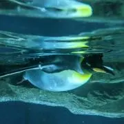 みと【まとめ買い割引します！】の画像