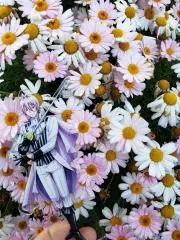まゆの画像