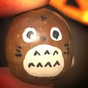 みーちゃんの画像