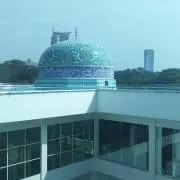 moraの画像