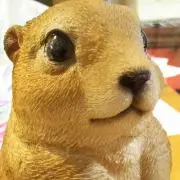 ずんだ