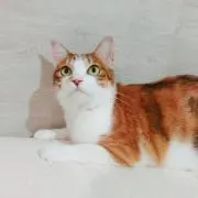 nana379の画像