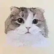 yupi ※自己紹介必読の画像