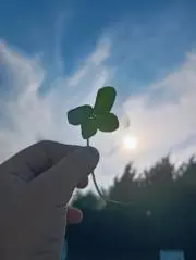 玄米の画像