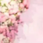 msの画像