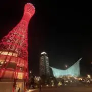 瑠衣