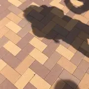 たん
