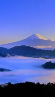 ウジャトの画像