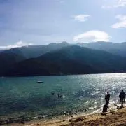 ペタの画像