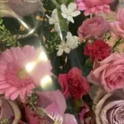 merukoの画像