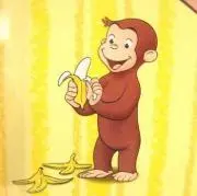ジョージの画像