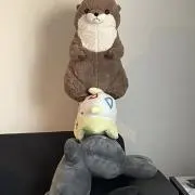 ピラミッドの画像