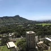 yuの画像