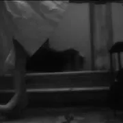 躑躅の画像