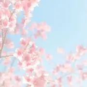 asaの画像