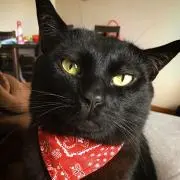 サッちゃん