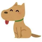 ちーこの画像