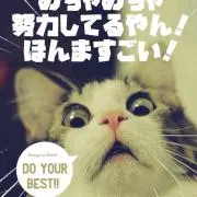 はな☆の画像