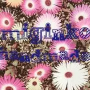 みじんこ☆即購入NG!※プロフ必読※