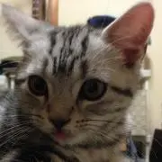 モネ