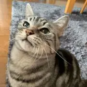 さわ