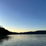 吉井