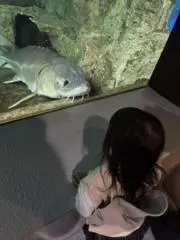 ヤーハウェイの画像
