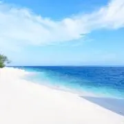 みぃこの画像