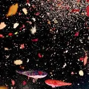 Cの画像