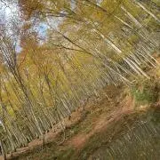 keeの画像