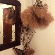 rの画像