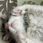 あじゅ☆(プロフ必読)