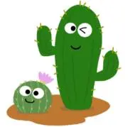 Cactusプロフィ必読の画像