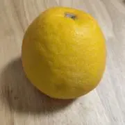 たんたん、の画像