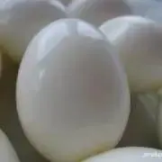 YUDETAMAGOの画像