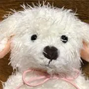 021の画像
