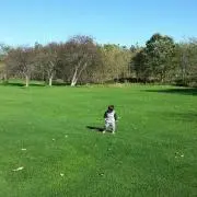 ふりすたの画像
