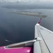 41の画像