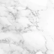 Y【週1発送】の画像