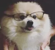onorinの画像