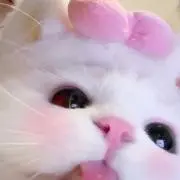にゃんの画像