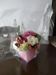 くうの画像