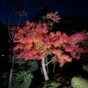 atohsの画像