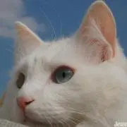 しお✿