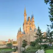 COOの画像