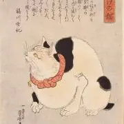 マルコメ