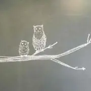navyの画像