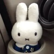 きなこちゃん