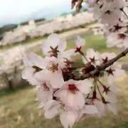 のー