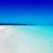 skrの画像